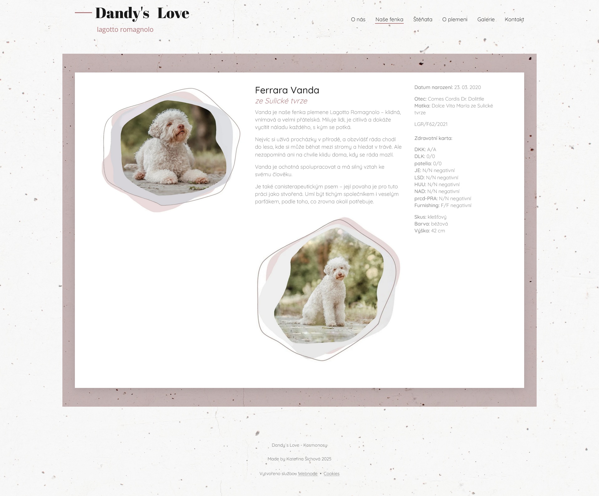 www.dandyslove.cz